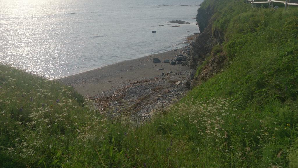 Les Cabines Sur Mer Cap-des-Rosiers Kültér fotó