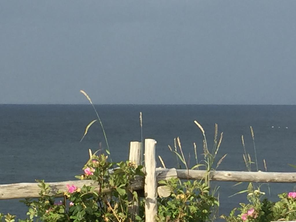 Les Cabines Sur Mer Cap-des-Rosiers Kültér fotó